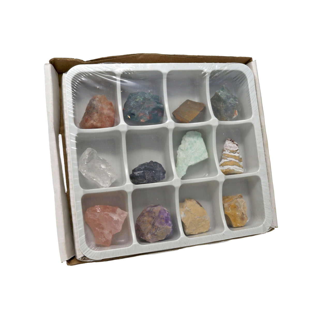 Kids Rock Hounding Starter Kit 12pc