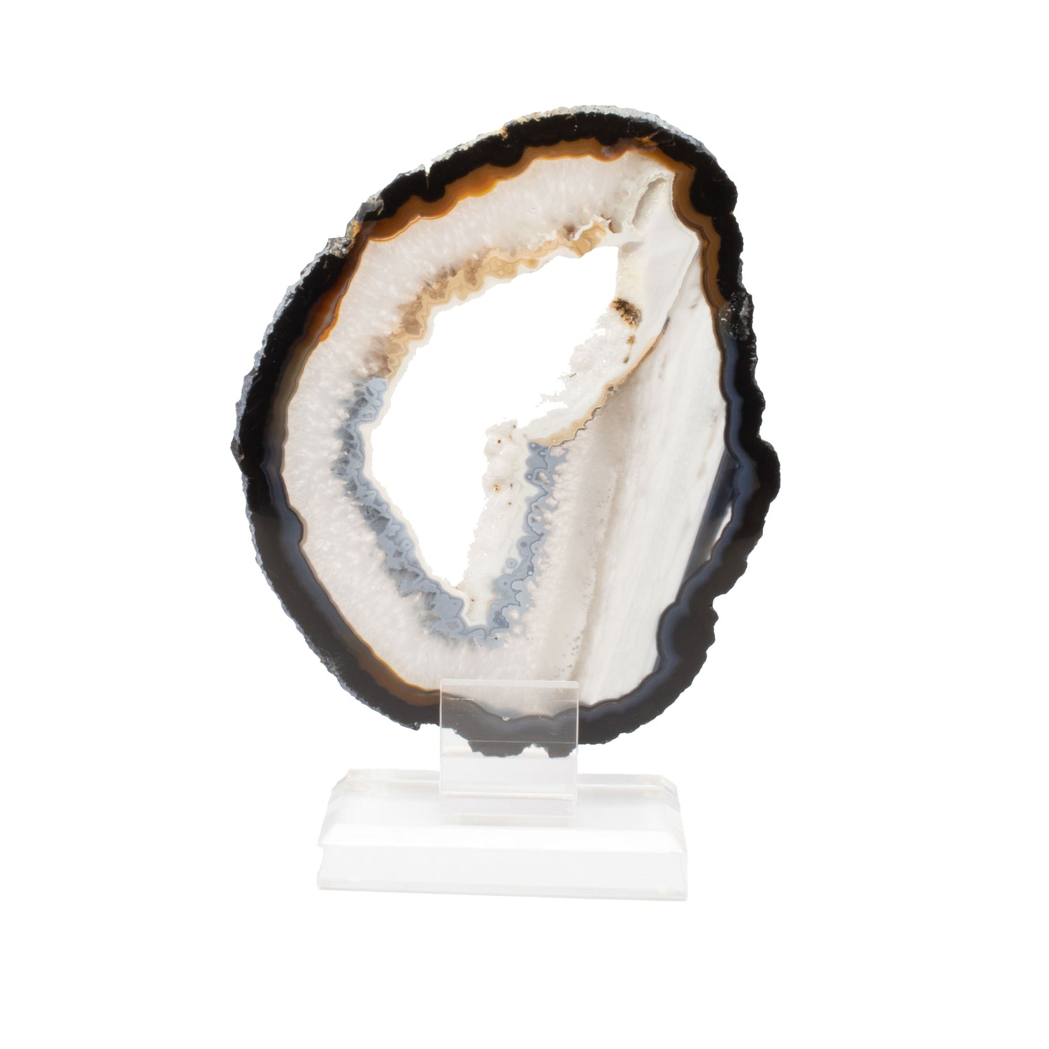 Agate Druze Slice on Acrylic Screw Stand - Dark Edge Layer with Fine Tubular Pattern in Dual Blue & Café