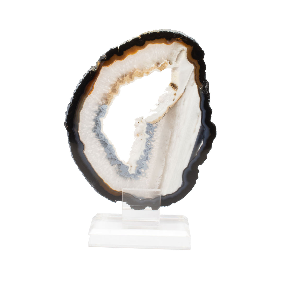 Agate Druze Slice on Acrylic Screw Stand - Dark Edge Layer with Fine Tubular Pattern in Dual Blue & Café