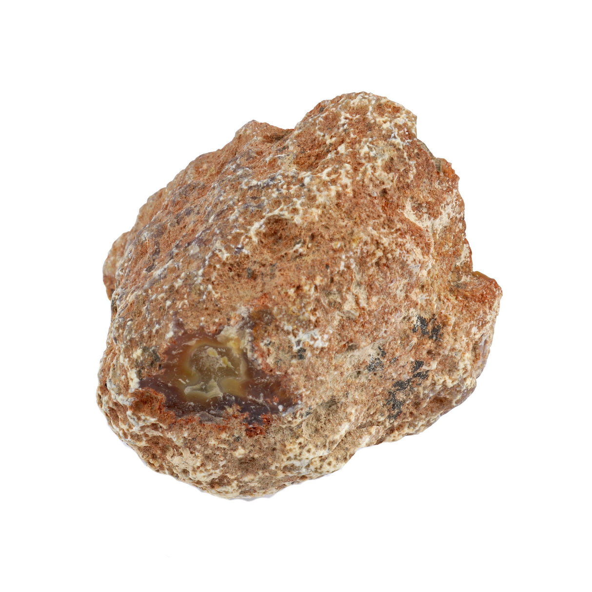 Laguna Agate Geode - Amber Yellow Band with Blue White & Druze Center