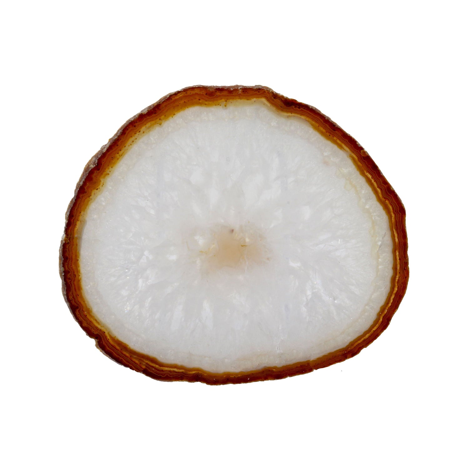 Agate Slice - Classic Carnelian with Quartz Center on Lucite Stand