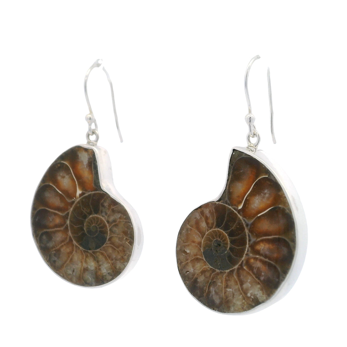 Boucles d'oreilles Ammonite - Paire