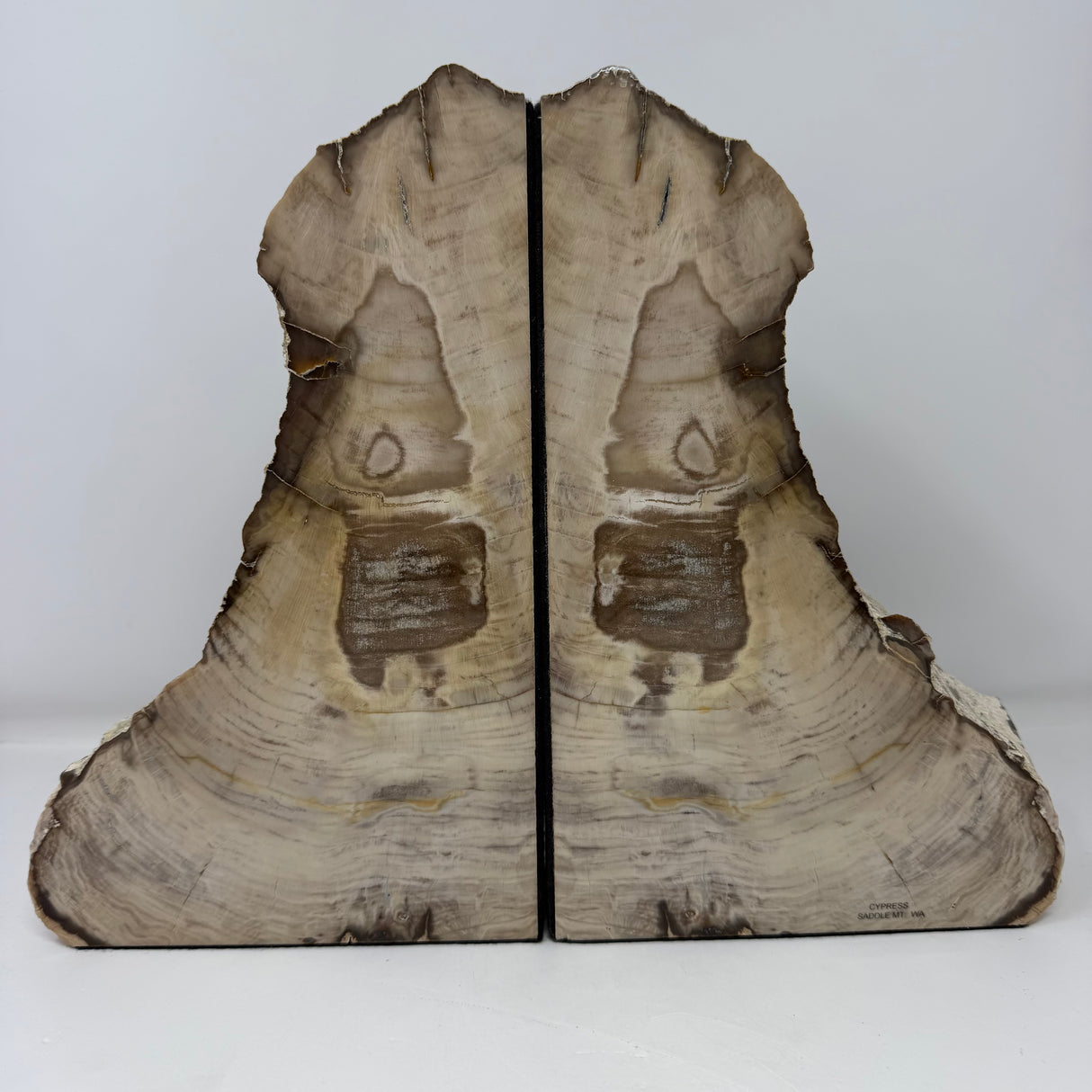 Saddle Mountain Cypress Petrified Wood Bookends - Tapered Top