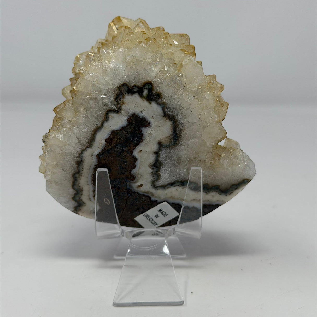 Polished Natural Citrine Crystal Stalactite Knobs on Lucite Stand