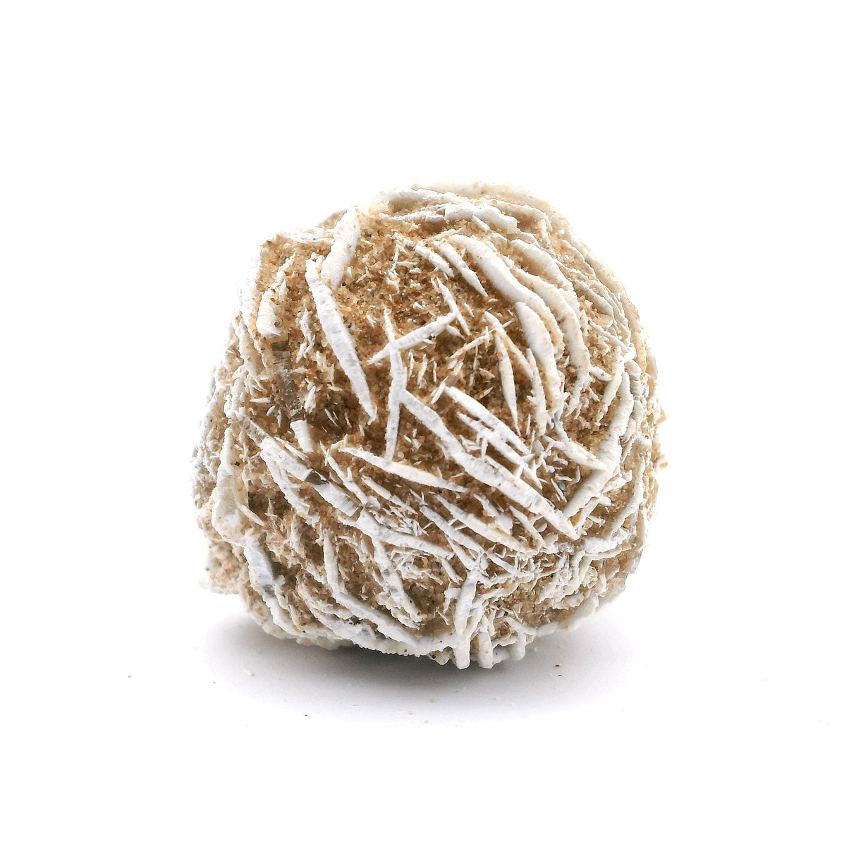 Desert Rose Bulb 1.5" on Lucite Stand