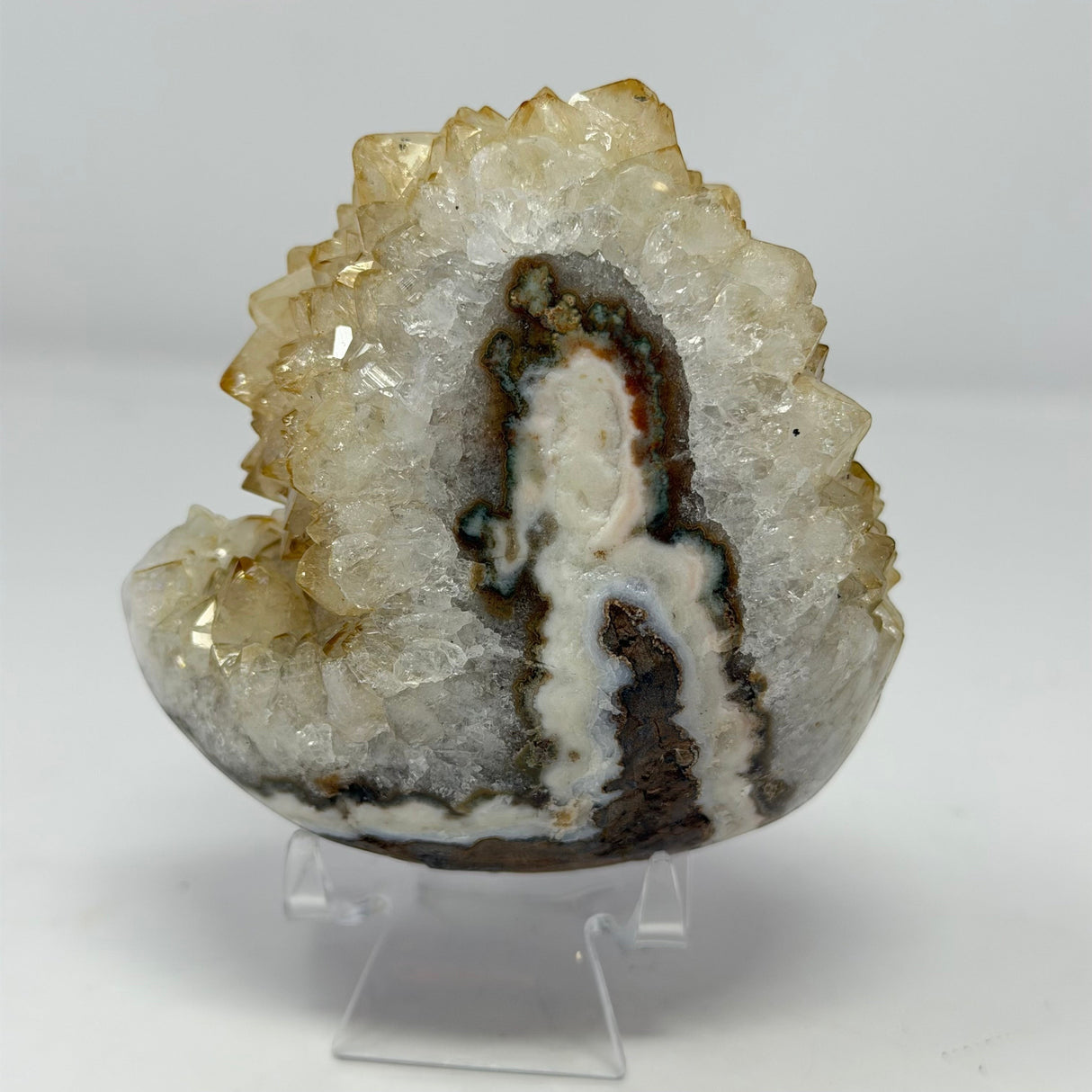 Polished Natural Citrine Crystal Stalactite Knobs on Lucite Stand