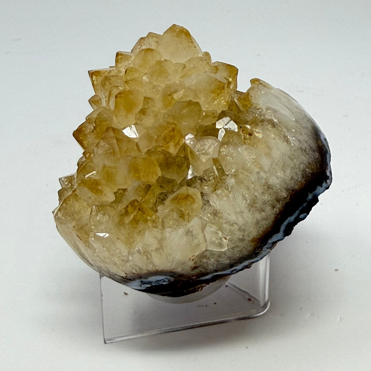 Polished Natural Citrine Crystal Stalactite Knobs on Lucite Stand