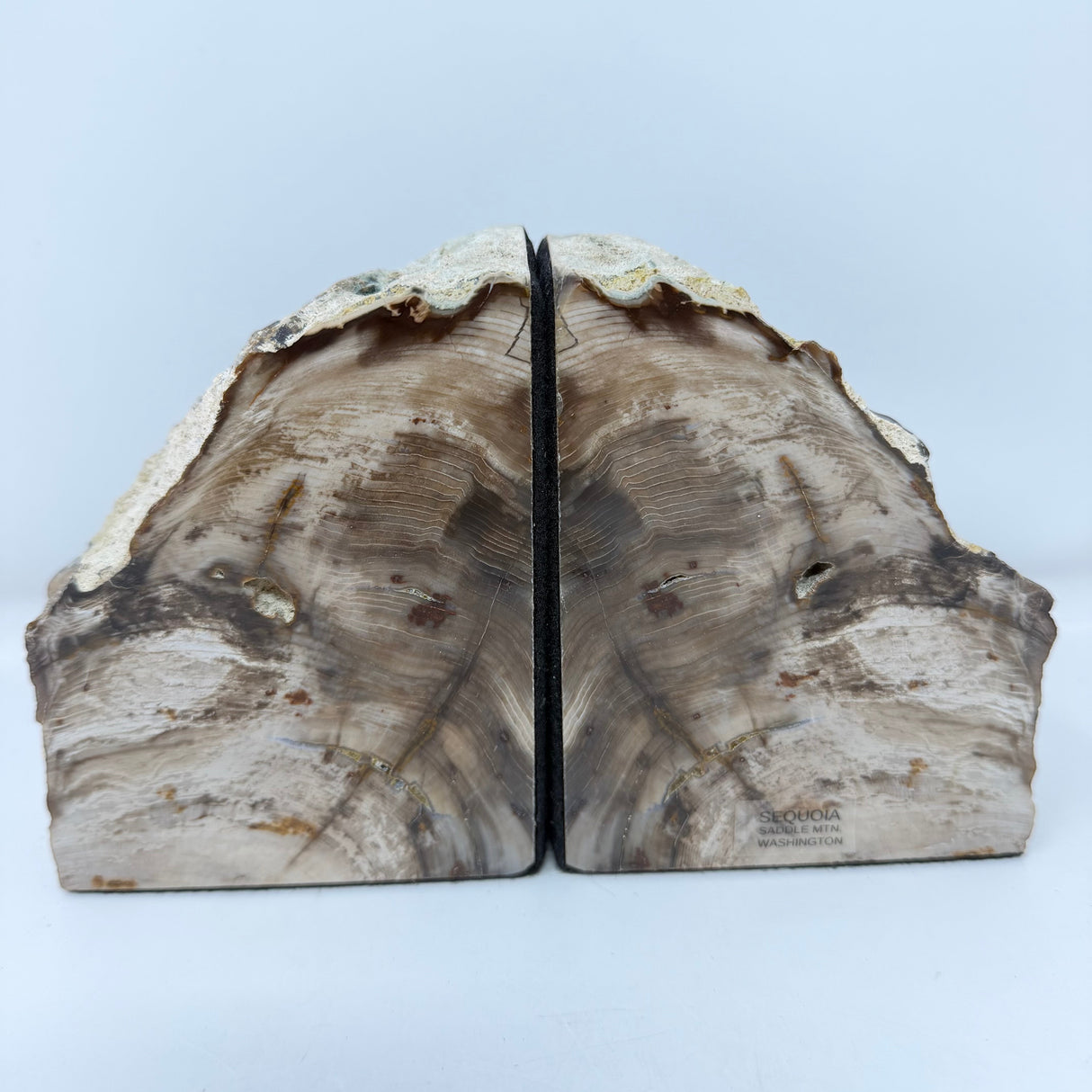 Saddle Mountain Sequoia Petrified Wood Bookends - Small