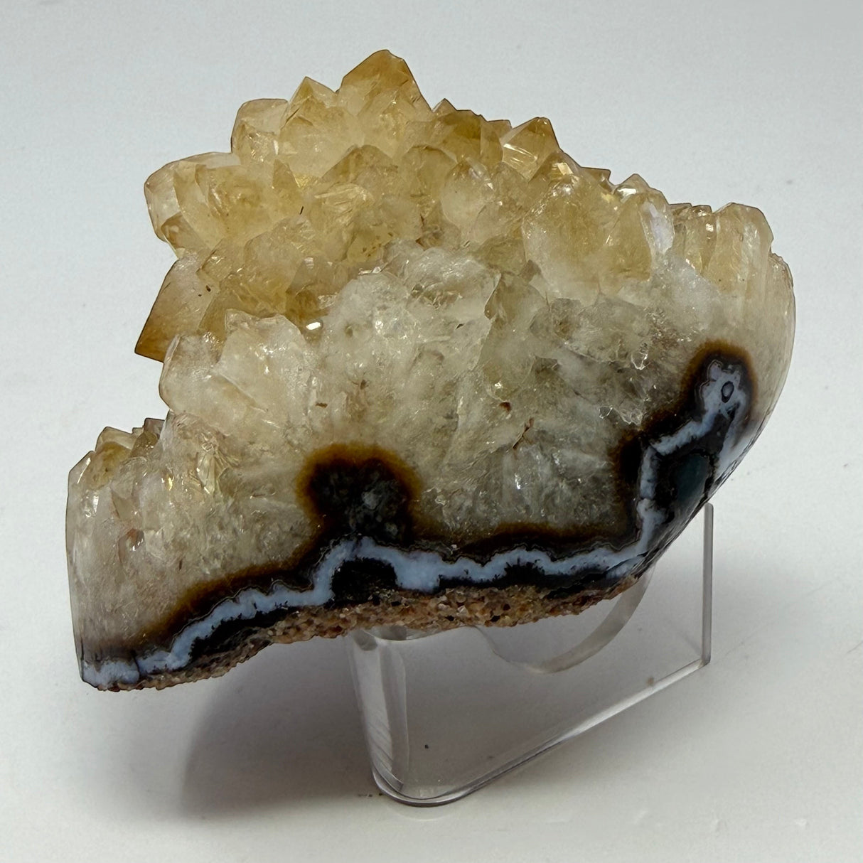 Polished Natural Citrine Crystal Stalactite Knobs on Lucite Stand