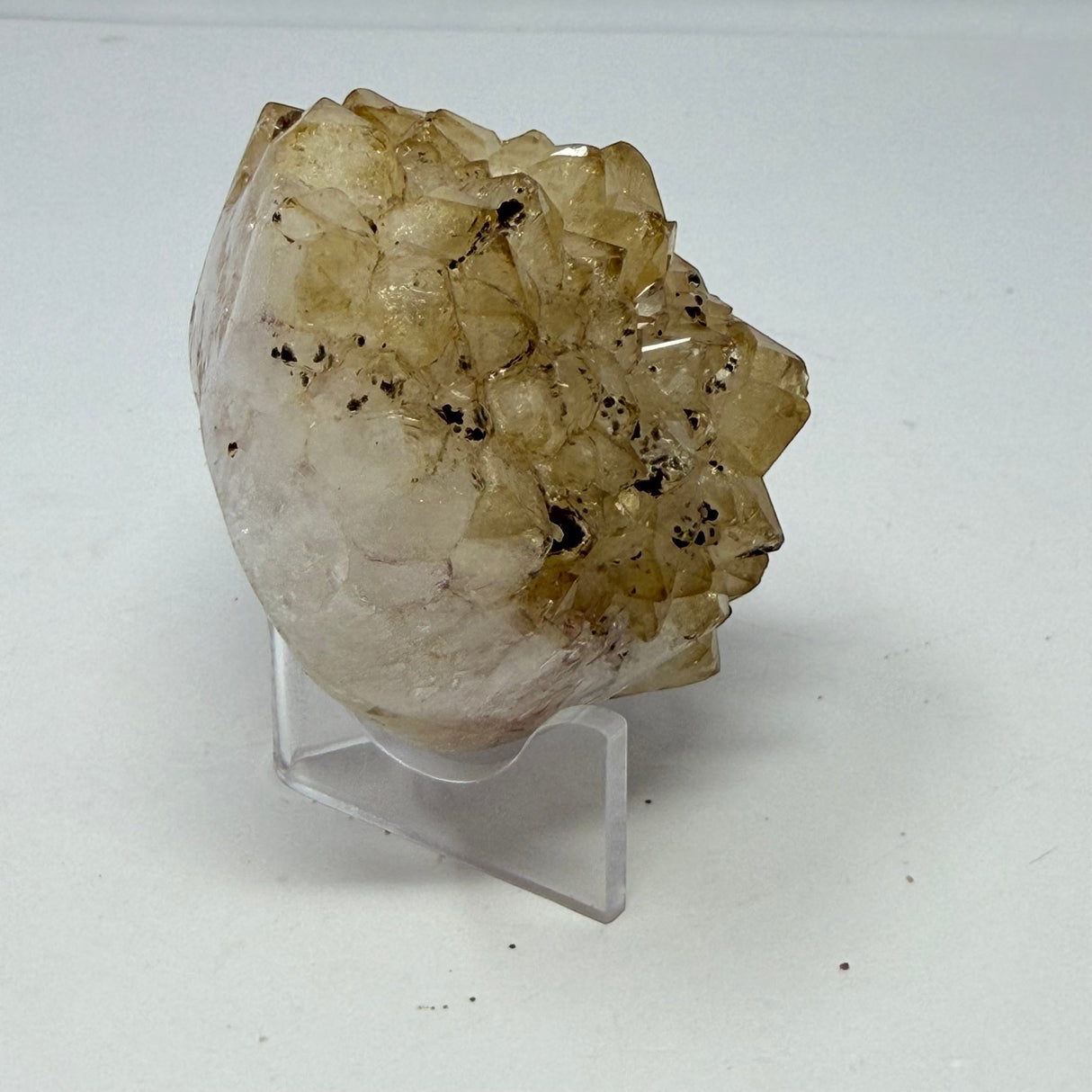 Polished Natural Citrine Crystal Stalactite Knobs on Lucite Stand