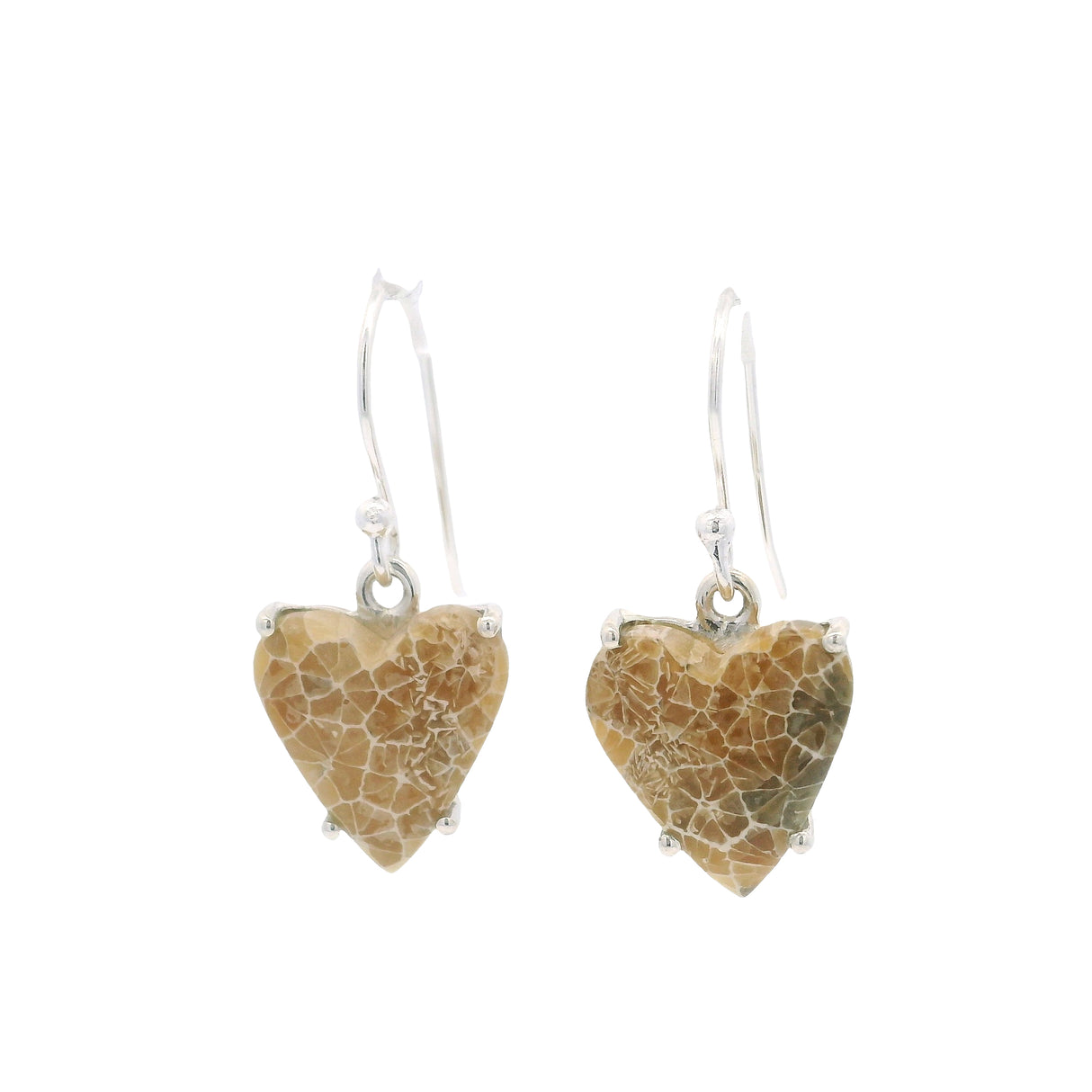 Distinctive Pattern Fossilized Coral Cabochon Dangle Earrings on French Wires