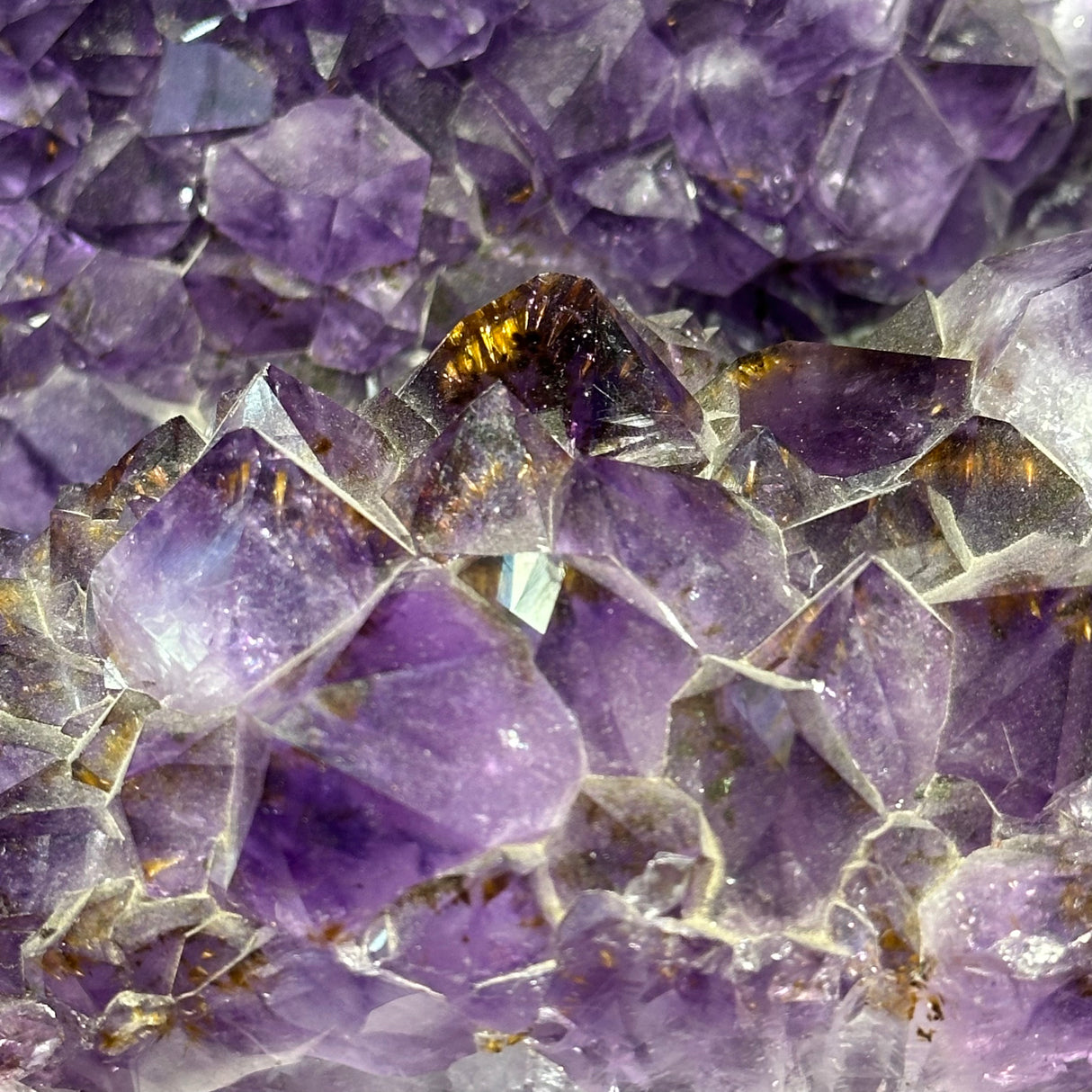 Close-up of amethyst cathedral crystal points showing golden cacoxanite inclusions inside violet quartz tips