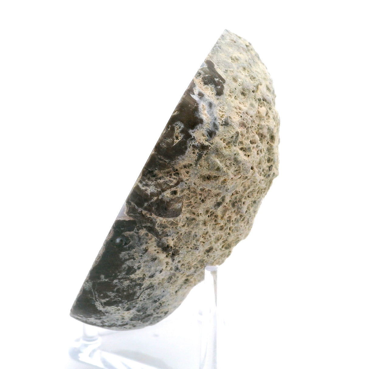 Dugway Druze Geode Half with Sparkly & Matte Druze