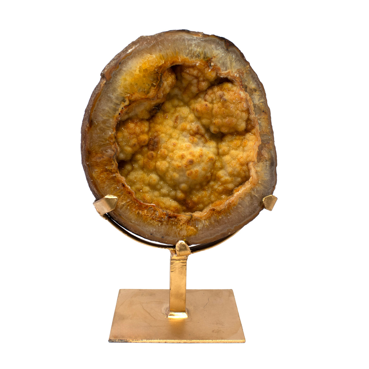 Citrine Druze Geode with Carnelian Edge on Gold Stand
