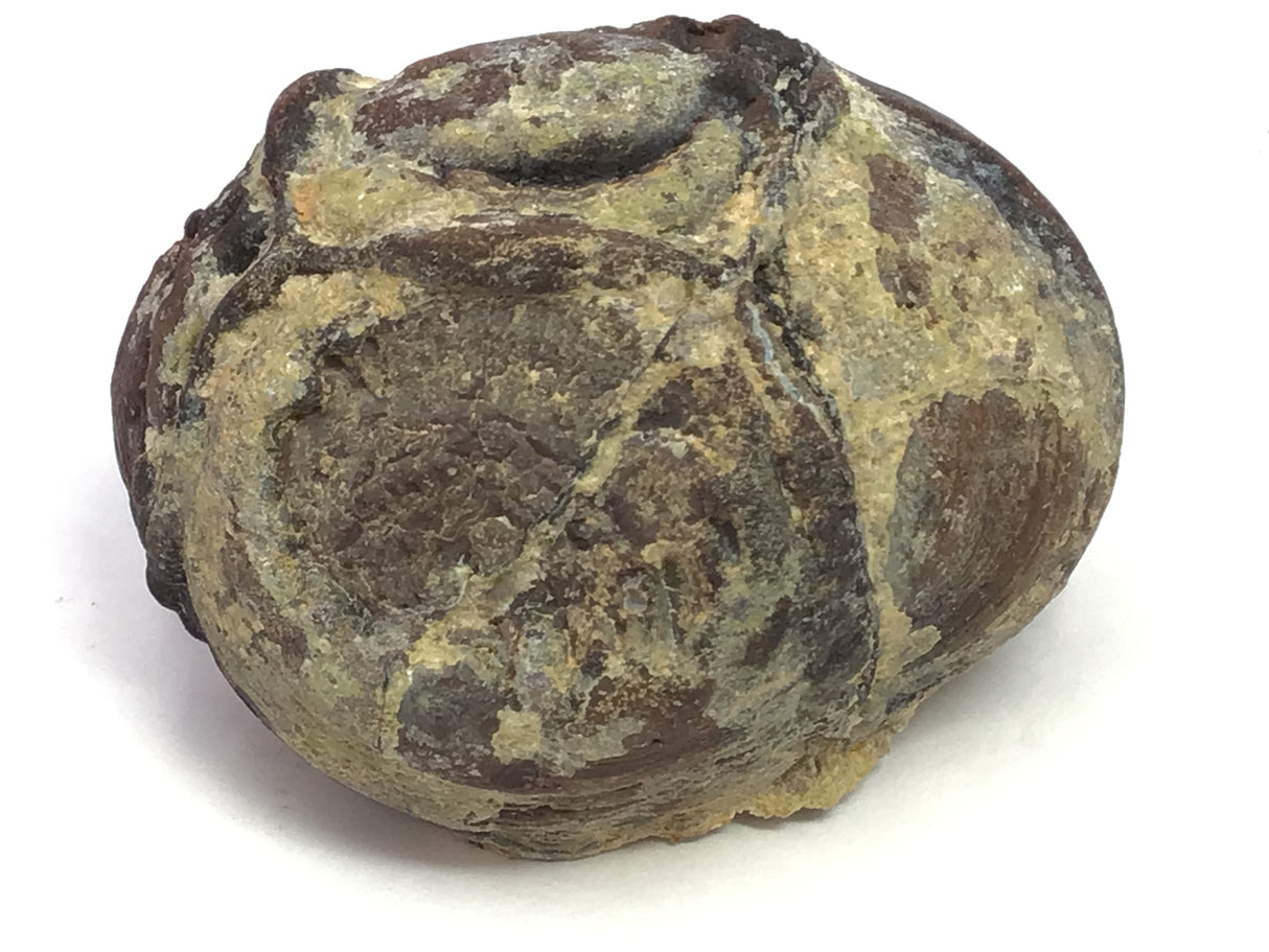 Dugway Druze Geode Half with Light Gray Crystal Cavern on Lucite Stand