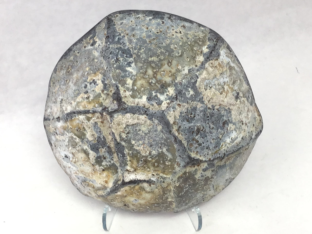 Dugway Druze Geode Half with 7 Spire Starburst on Lucite Stand