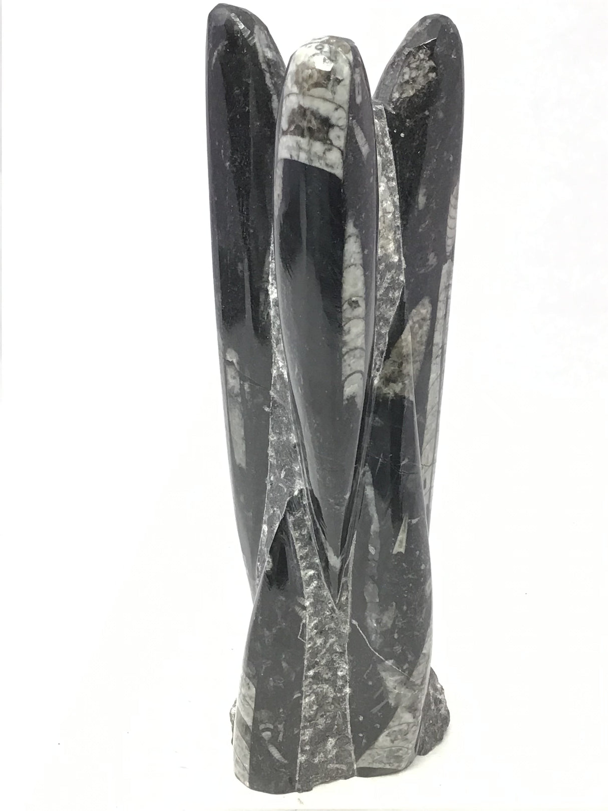 Orthoceras Fossil Sculpture with Self-Standing Base - Small