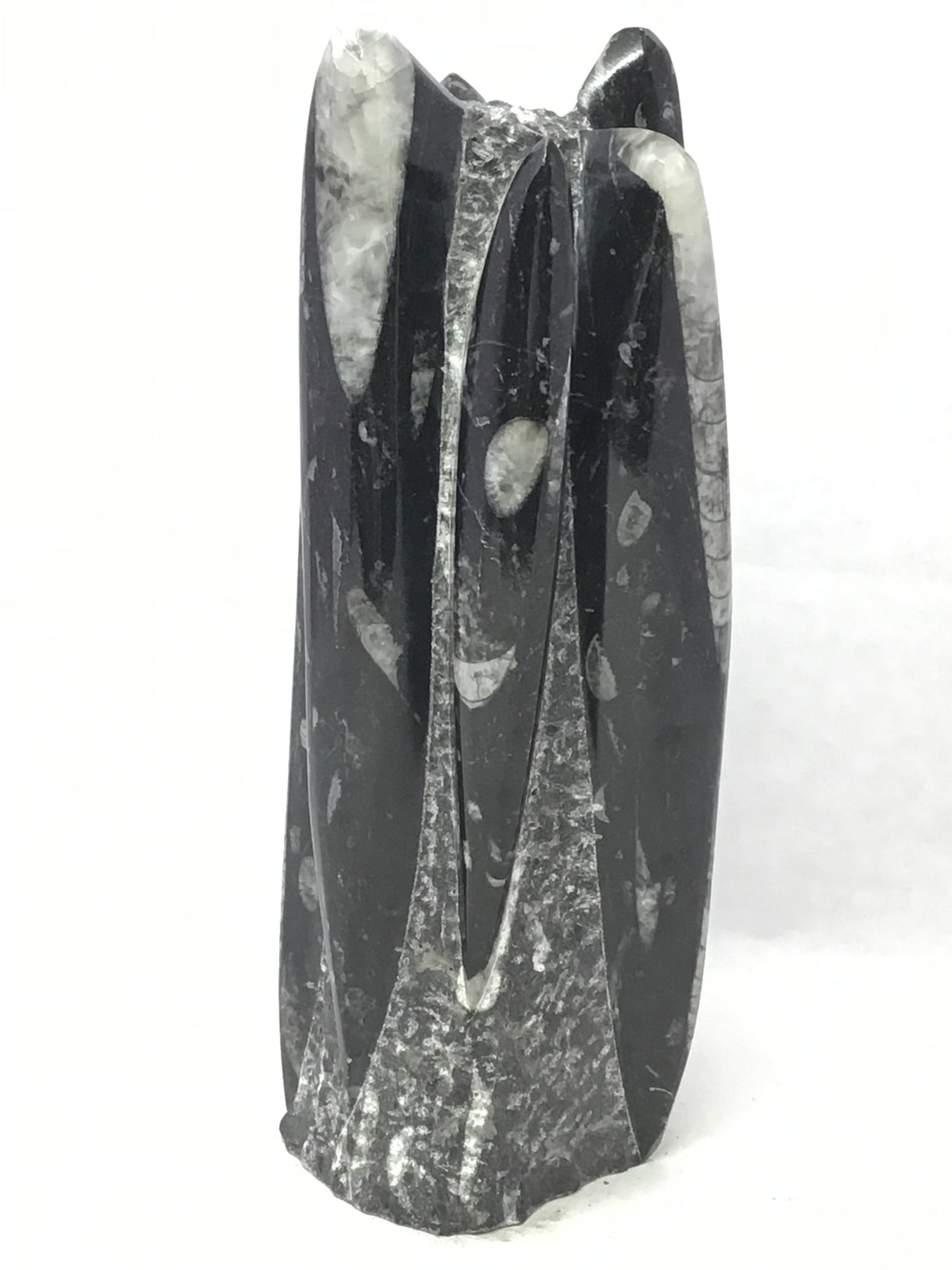 Orthoceras Fossil Sculpture with Self-Standing Base - Small