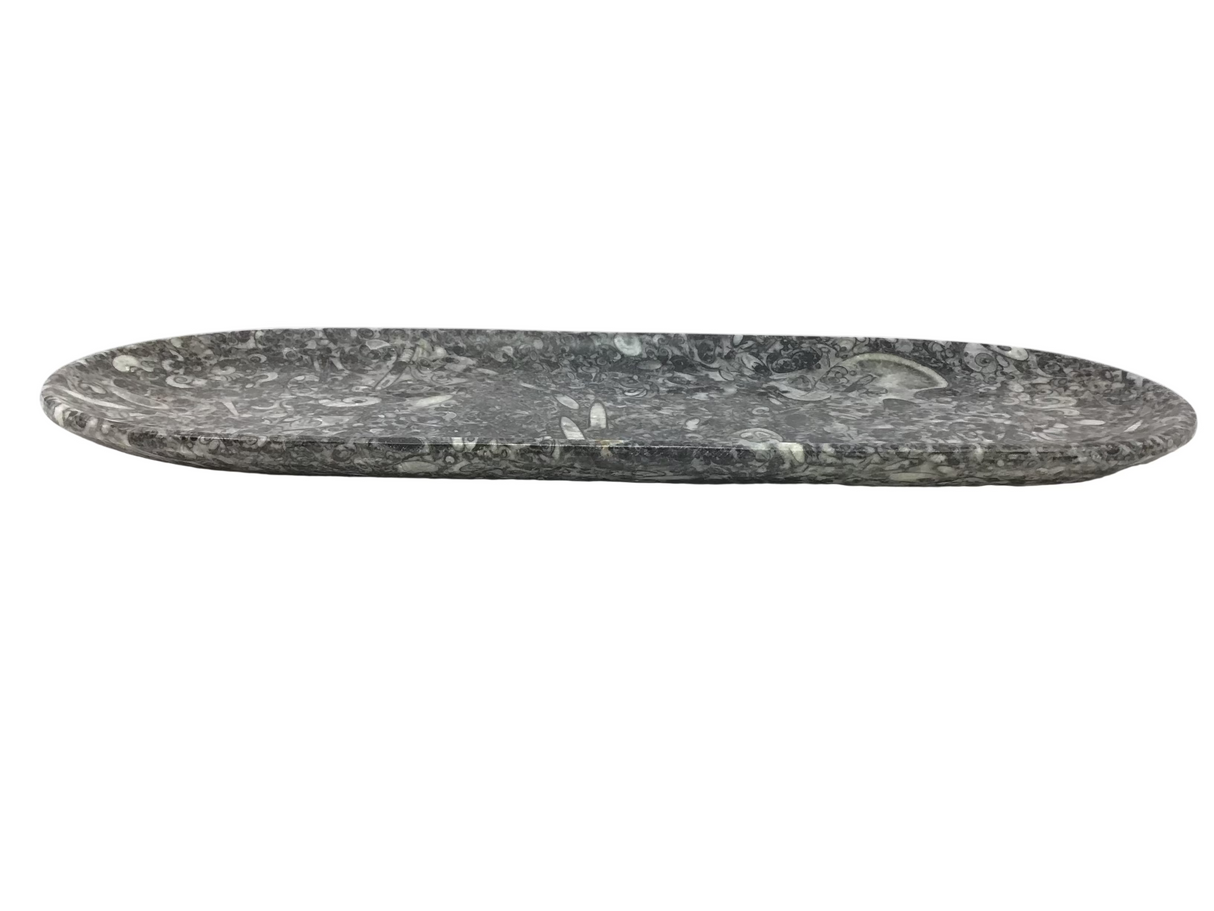 Orthoceras Fossil Long Oval Tray Dish