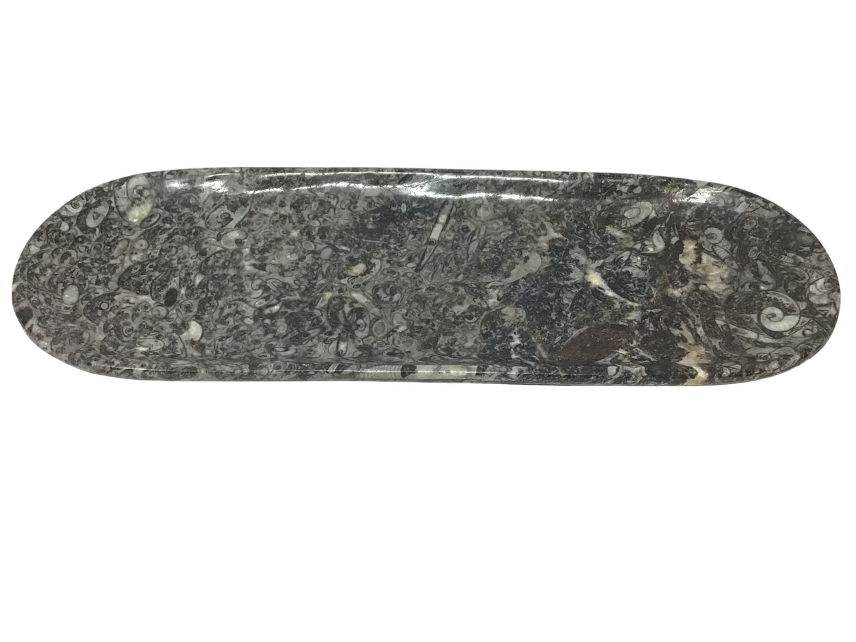 Orthoceras Fossil Long Oval Tray Dish