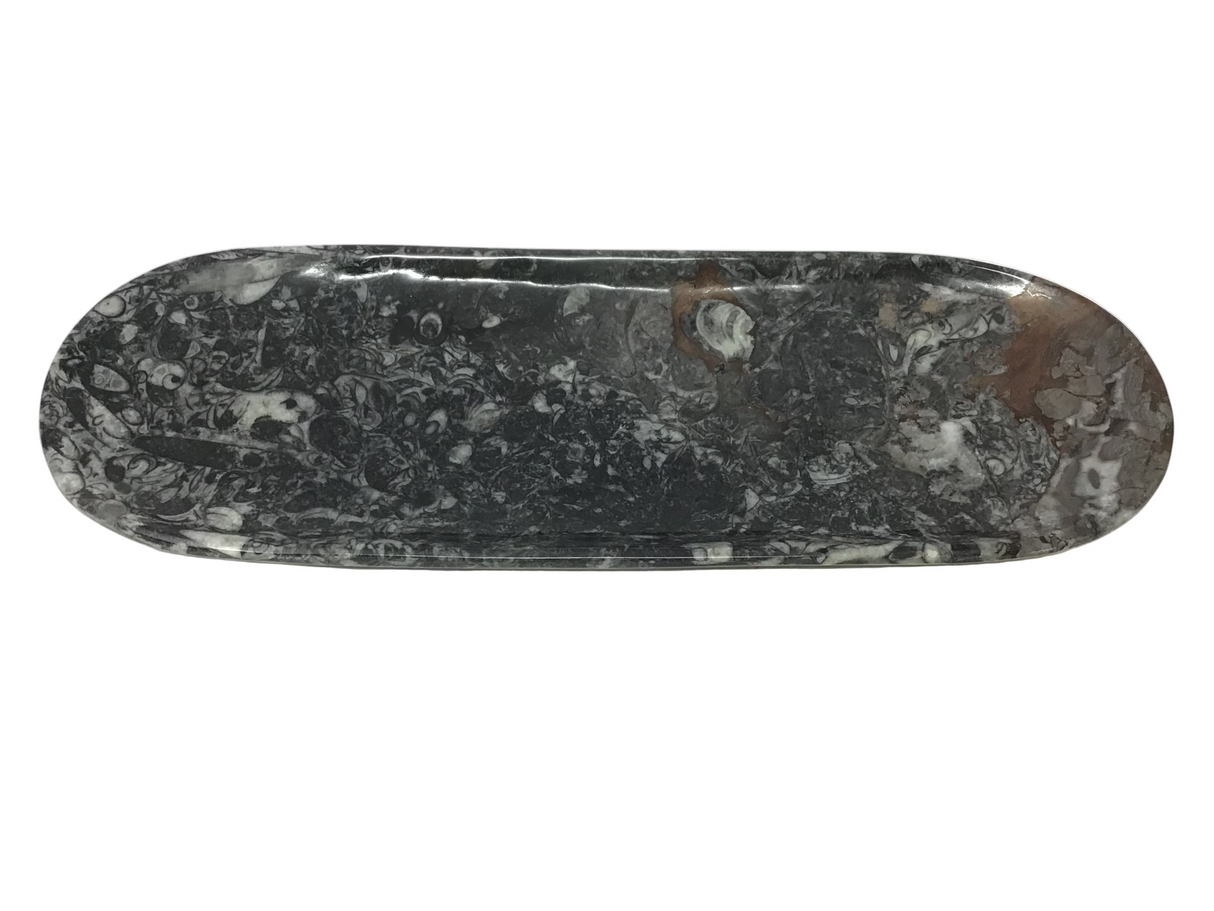 Orthoceras Fossil Long Oval Tray Dish