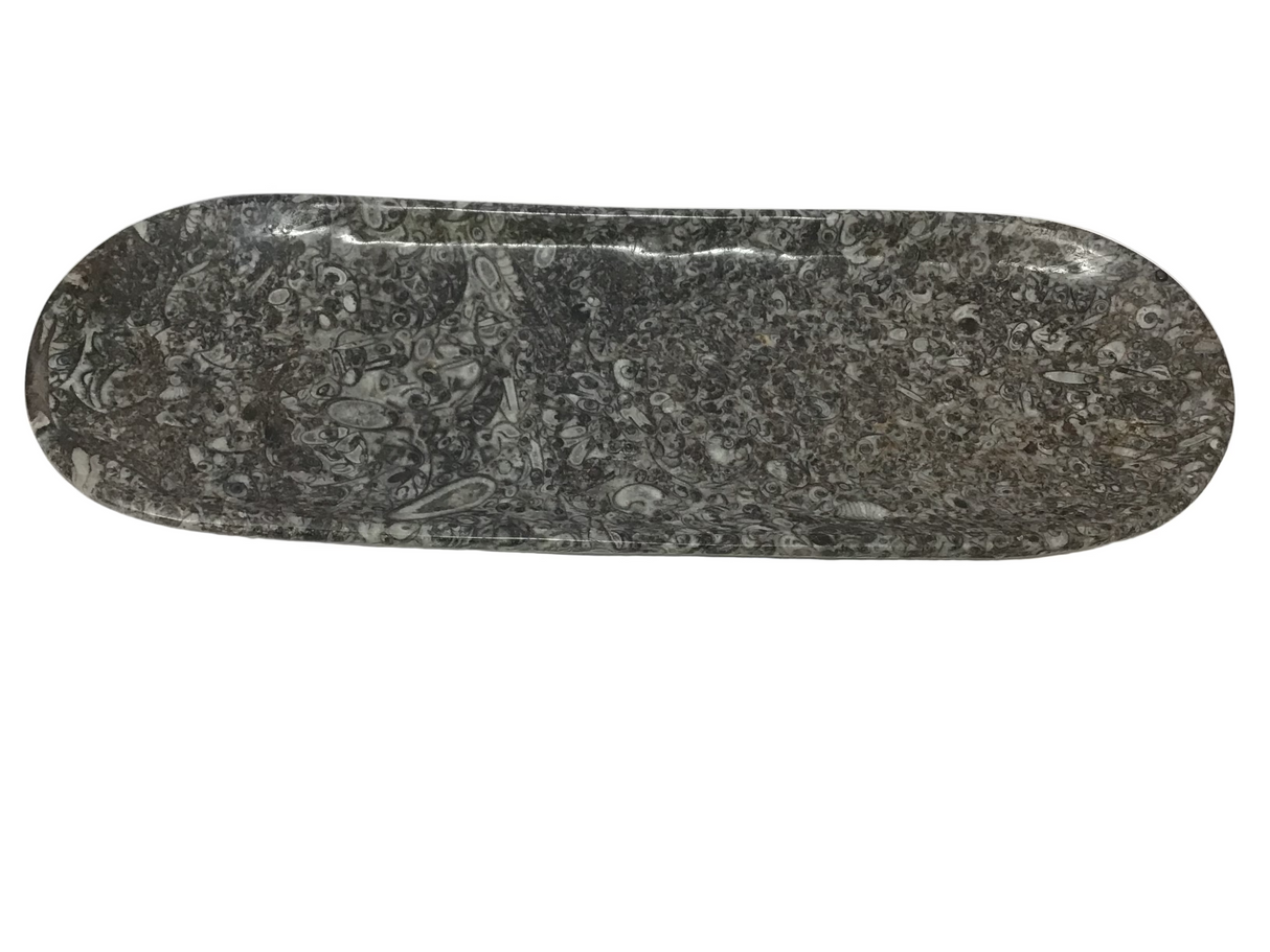 Orthoceras Fossil Long Oval Tray Dish