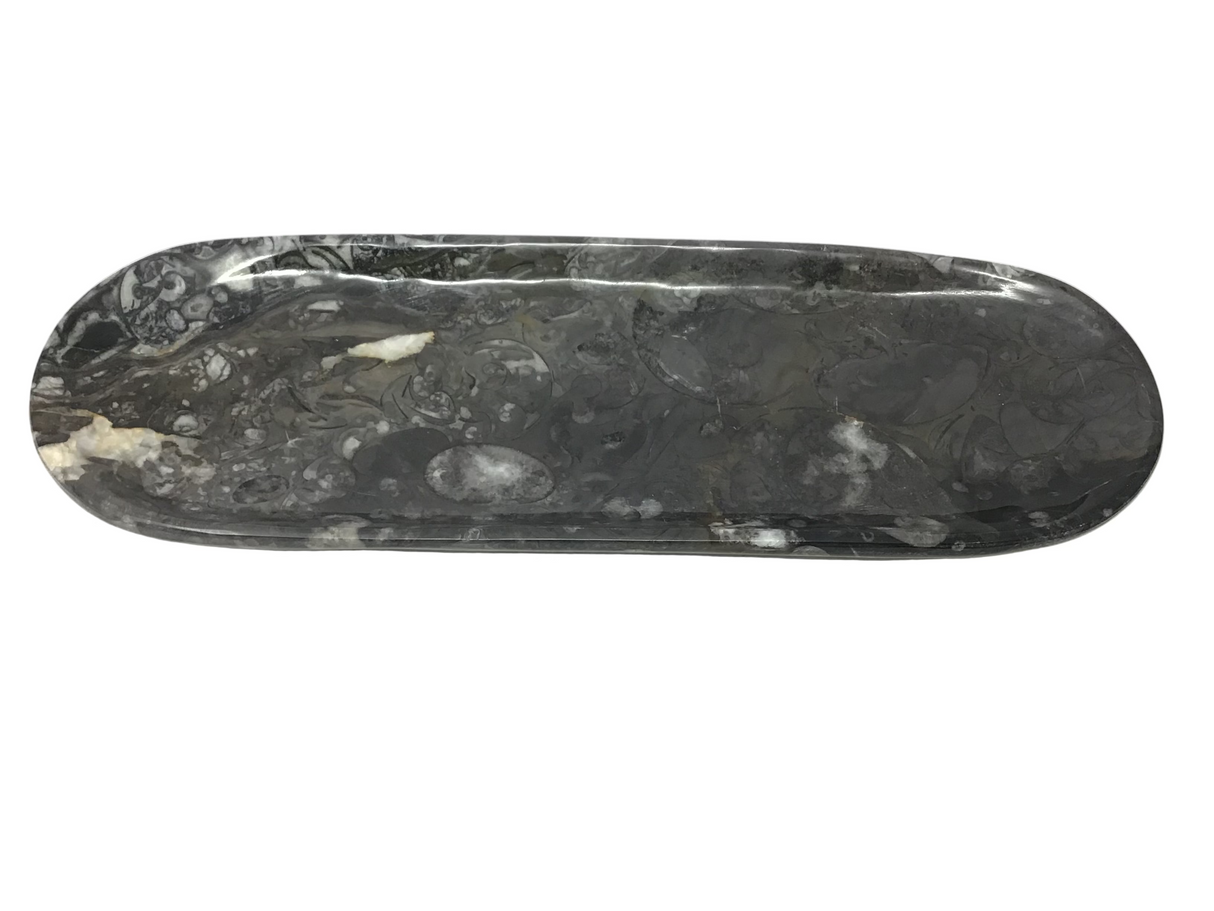 Orthoceras Fossil Long Oval Tray Dish