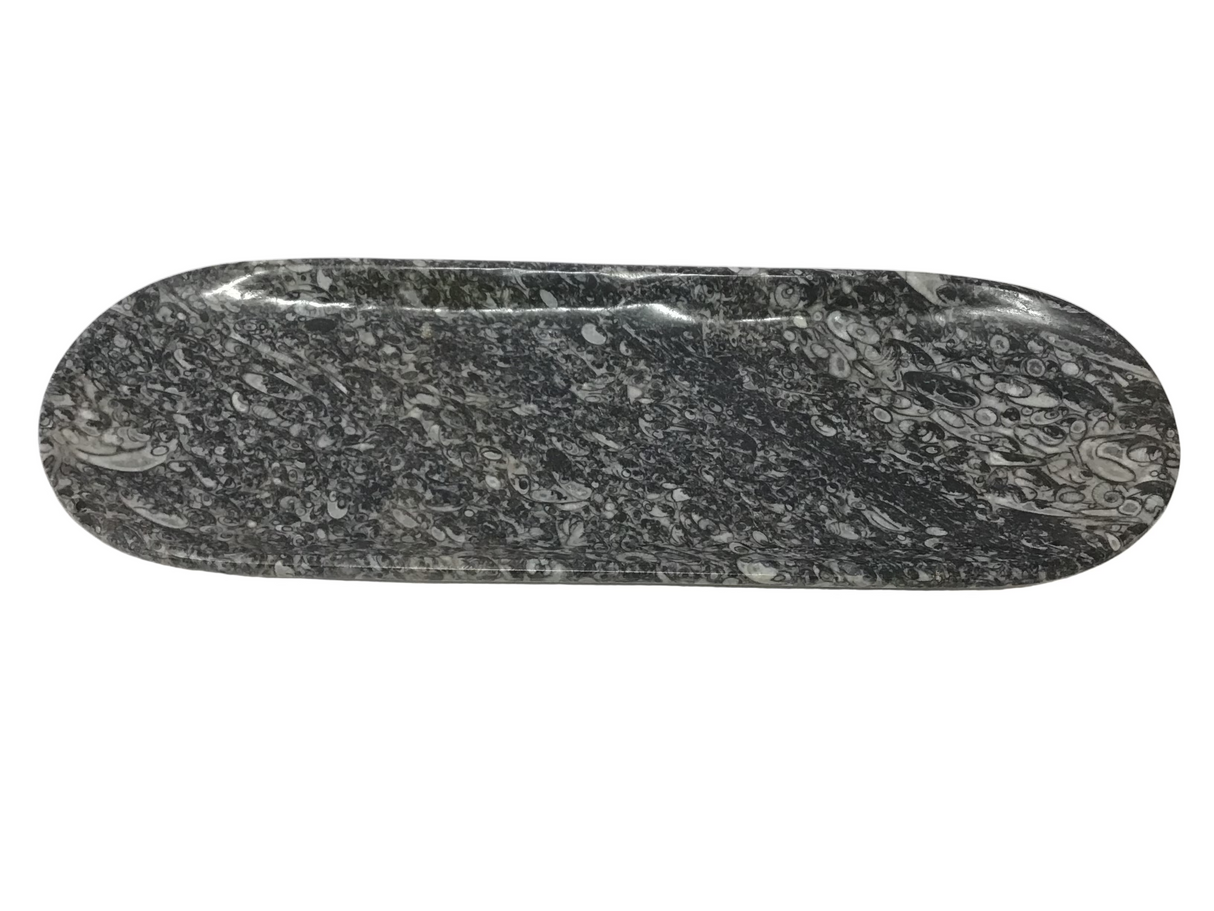 Orthoceras Fossil Long Oval Tray Dish