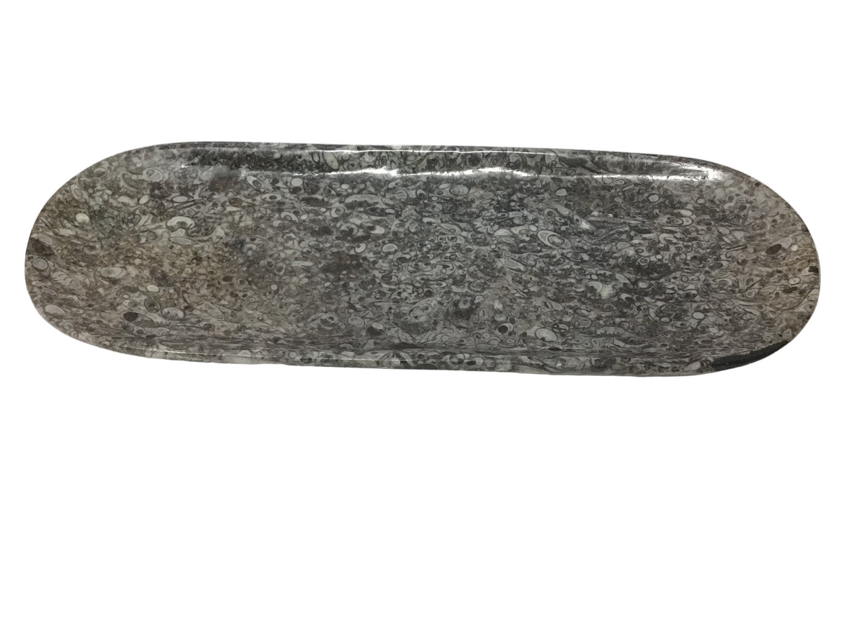 Orthoceras Fossil Long Oval Tray Dish