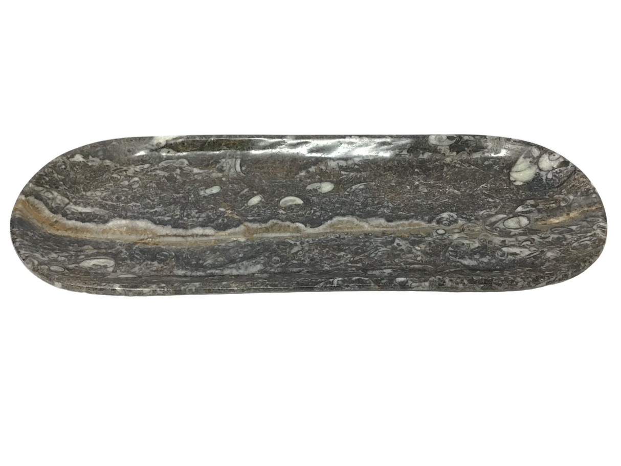 Orthoceras Fossil Long Oval Tray Dish