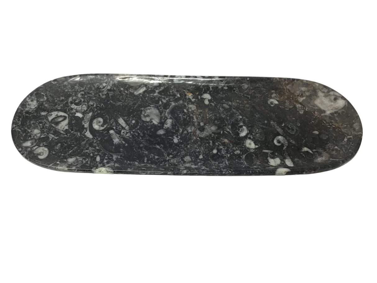 Orthoceras Fossil Long Oval Tray Dish