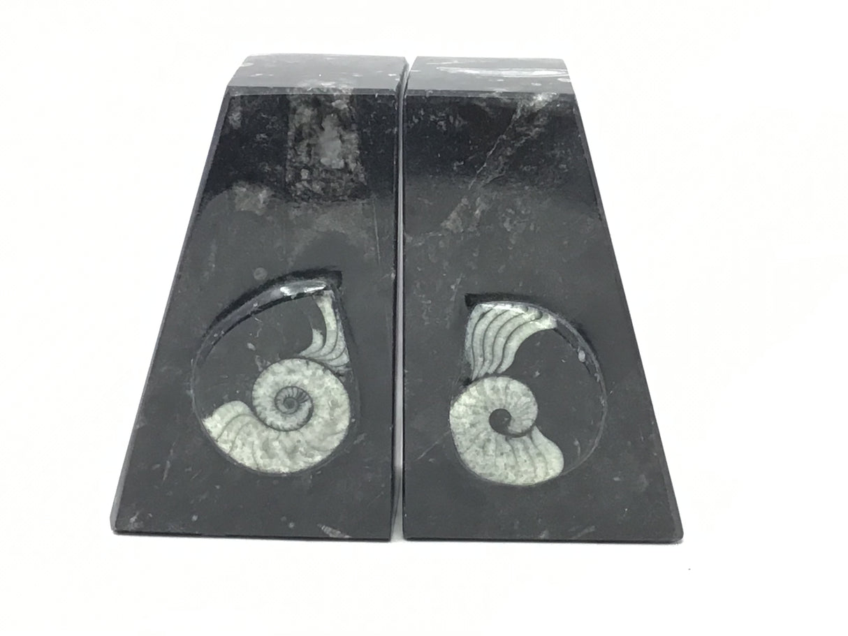 Ammonite and Orthoceras Fossil Bookends in Black Seabed - Trapezoid