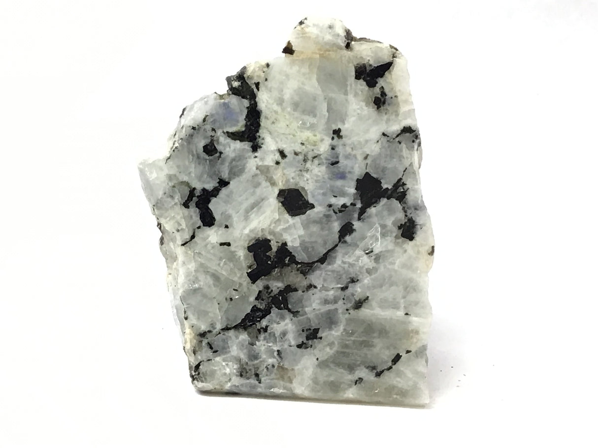 Rainbow Moonstone Specimen - One Side Polish - Large