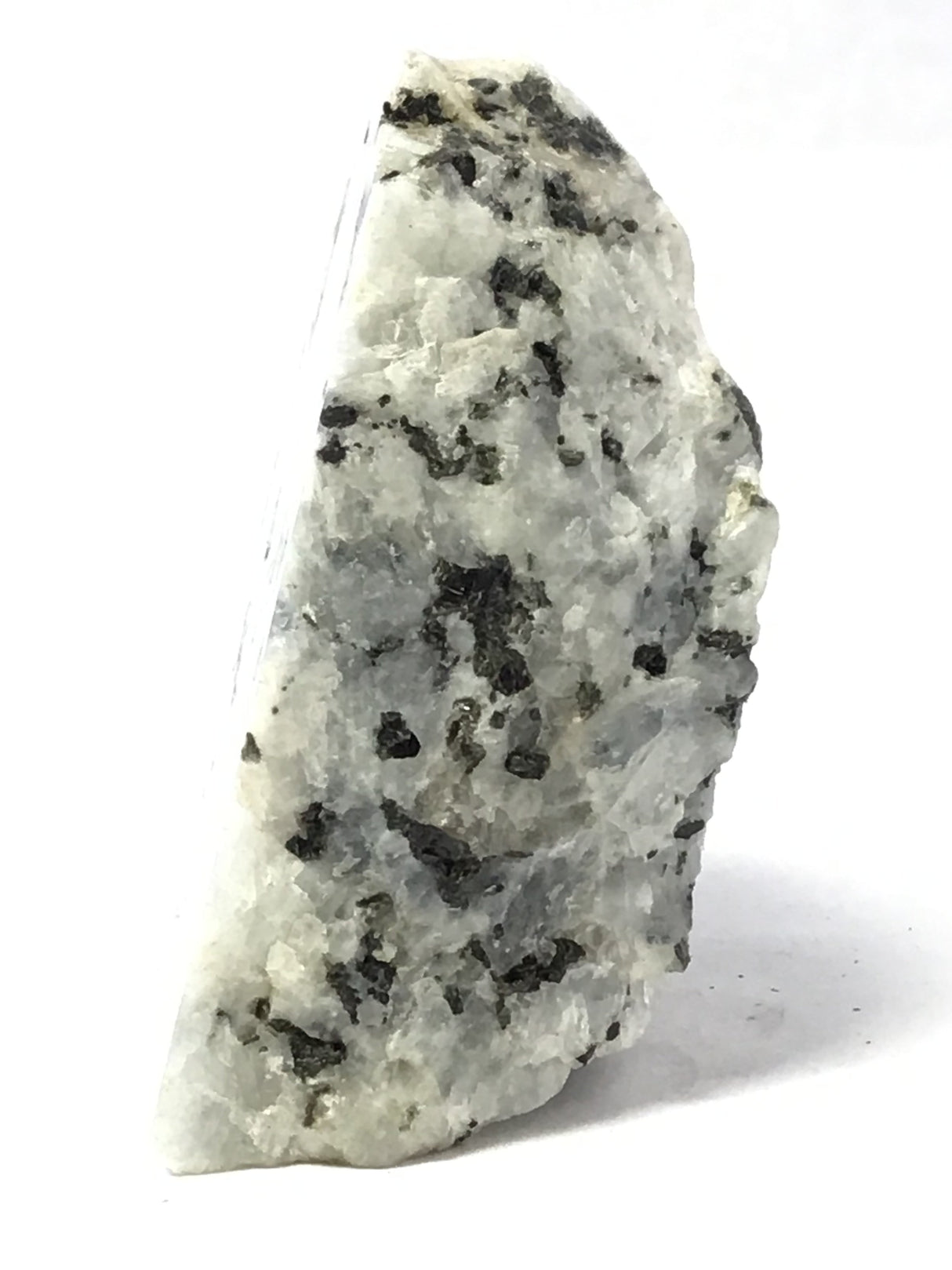 Rainbow Moonstone Specimen - One Side Polish - Large