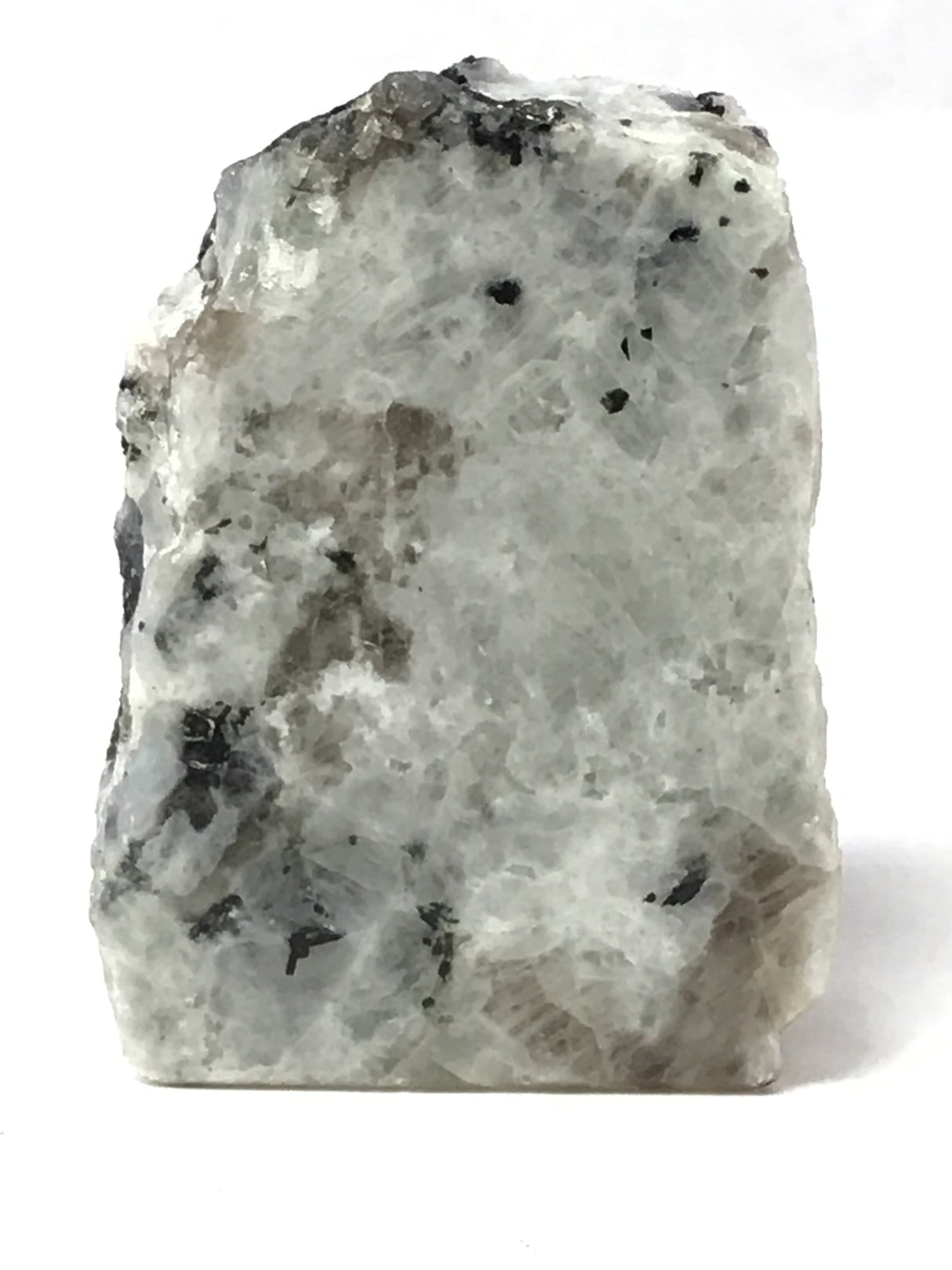 Rainbow Moonstone Specimen - One Side Polish - Large