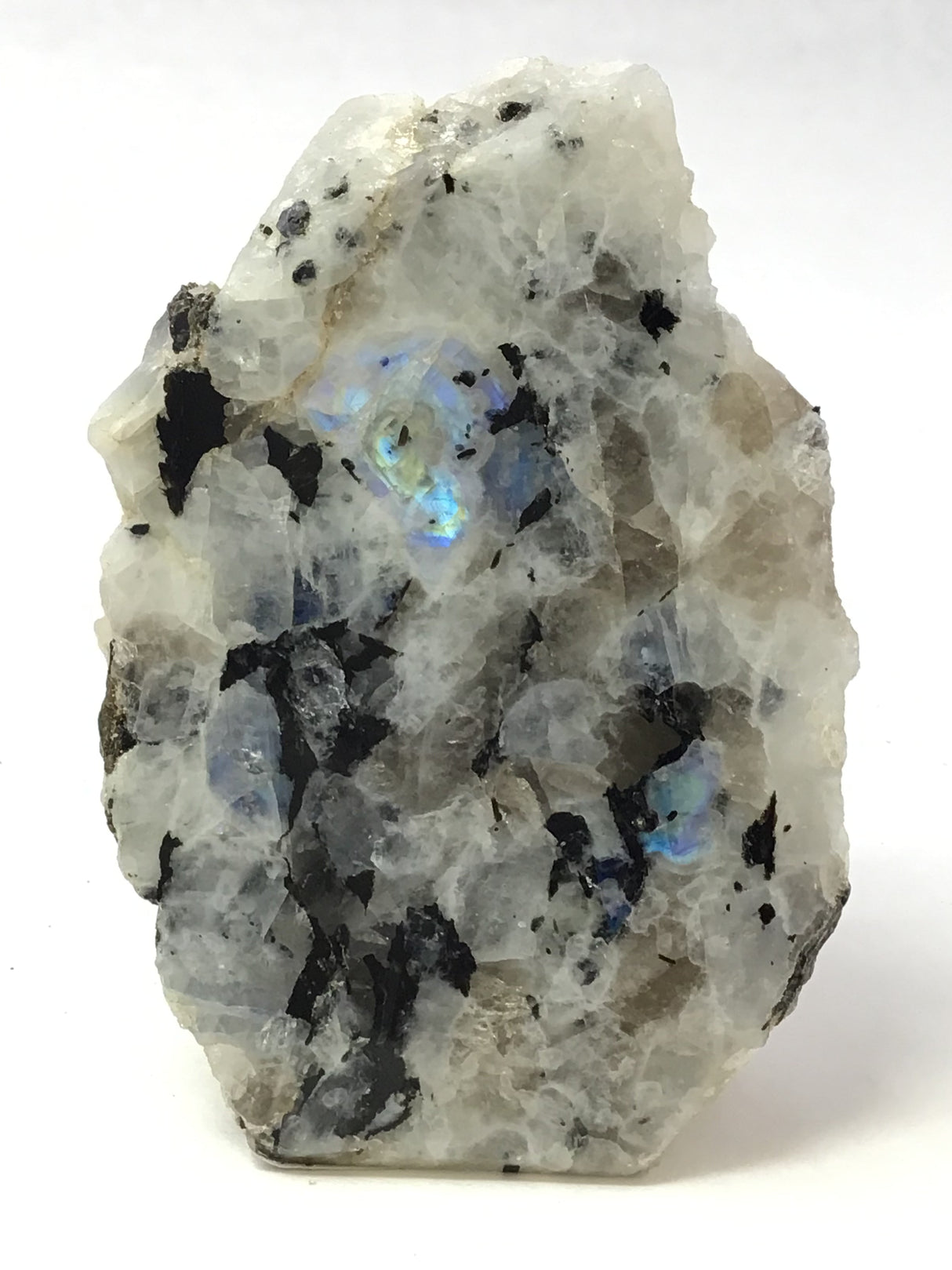 Rainbow Moonstone Specimen - One Side Polish - Medium
