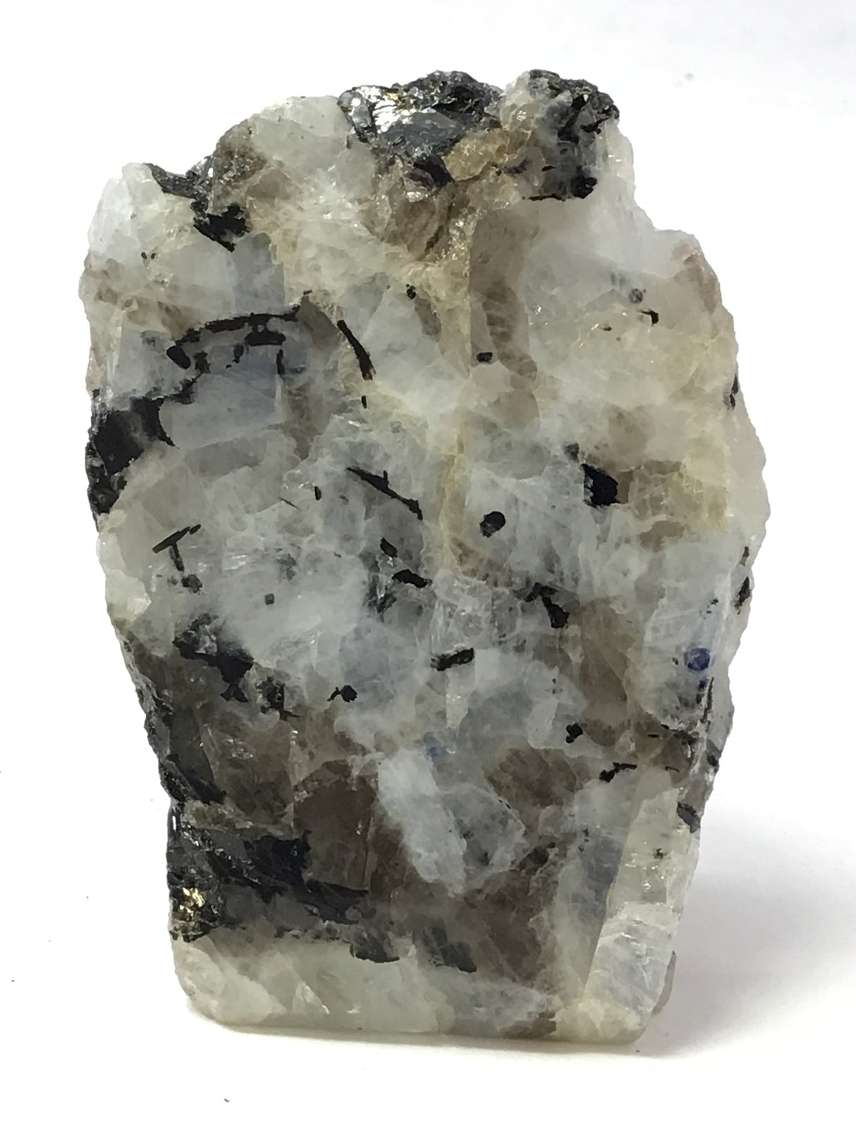 Rainbow Moonstone Specimen - One Side Polish - Medium