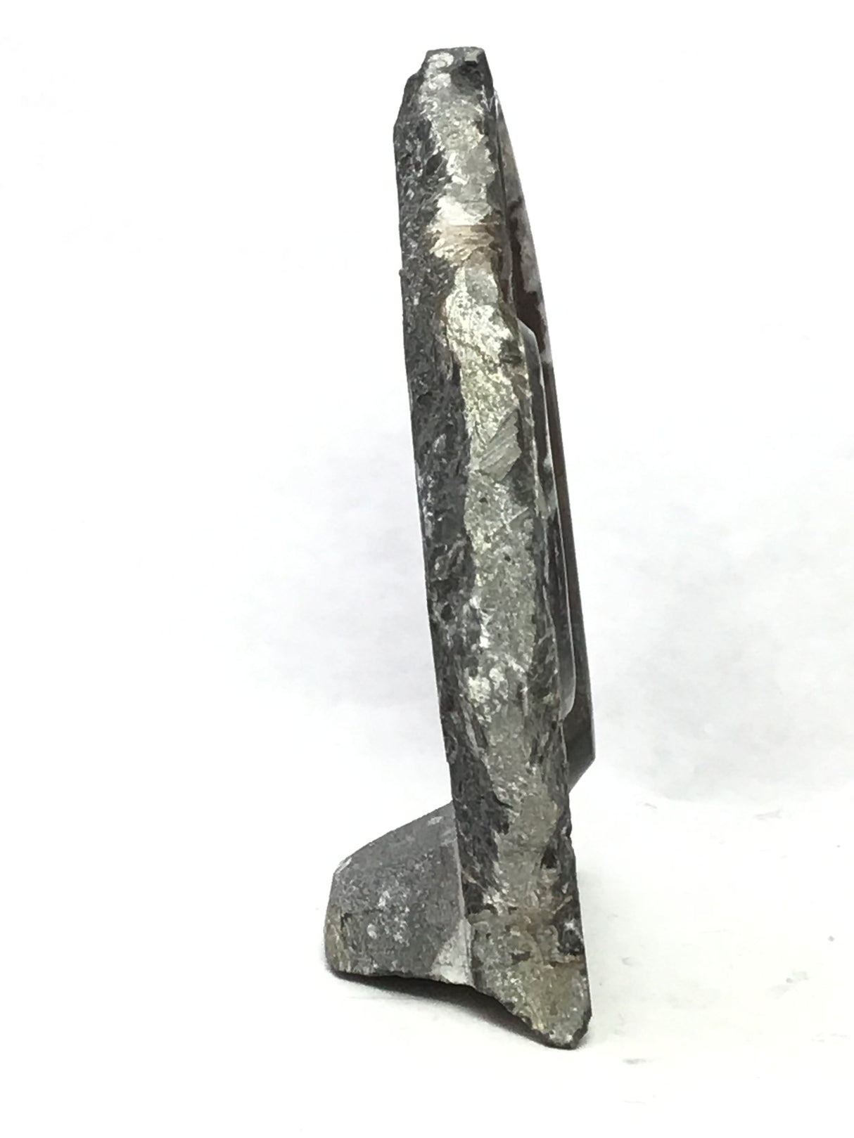 Ammonite and Orthoceras Fossil Plaque with Brown Seabed Base from Morocco - Small