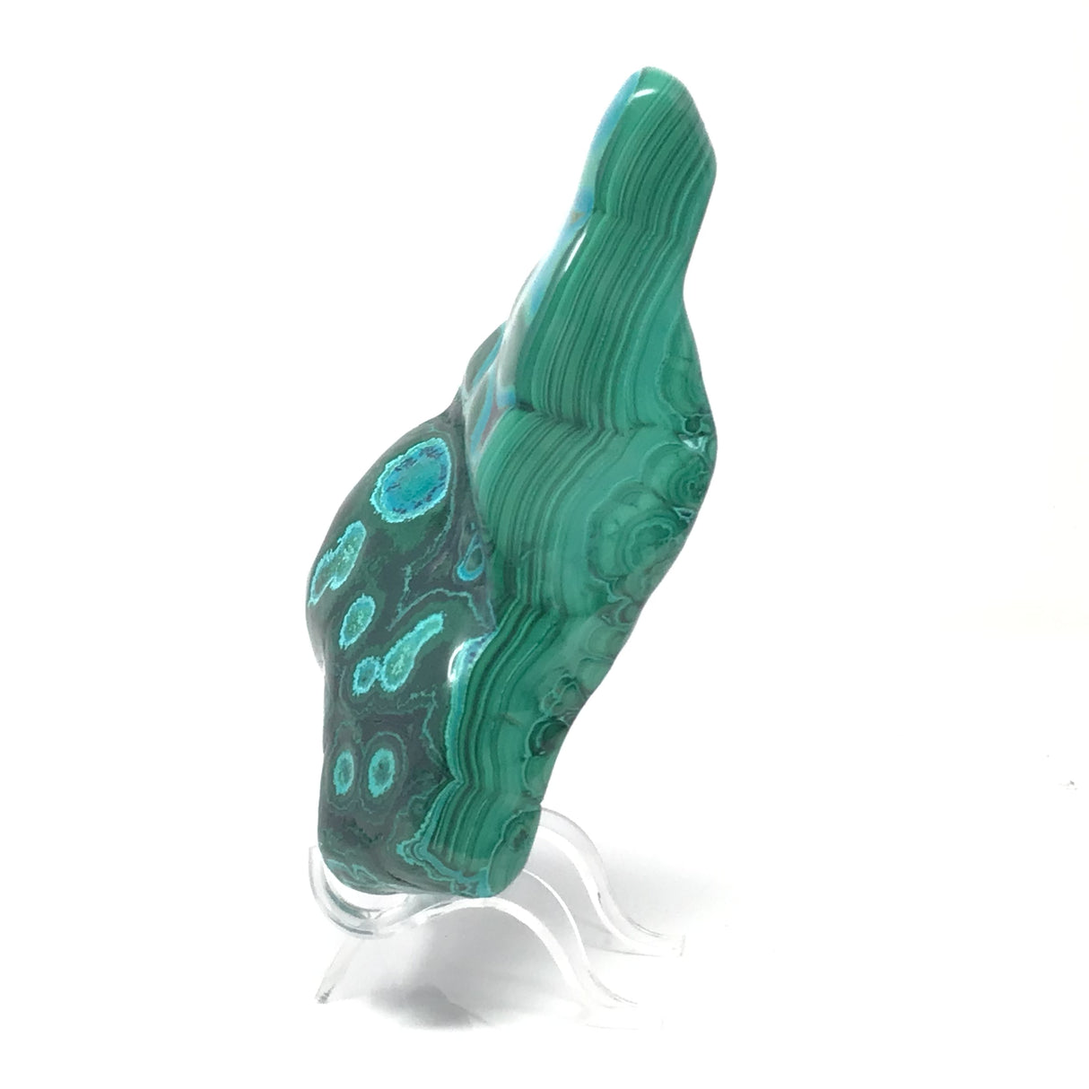 Chrysocolla Malachite Freeform Polished on Lucite Stand with Chrysocolla Swath & Patterns