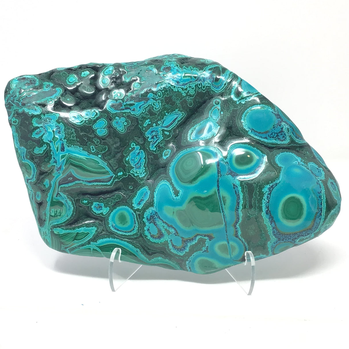 Chrysocolla Malachite Freeform Polished on Lucite Stand with Large & Small Botryoidal Formations