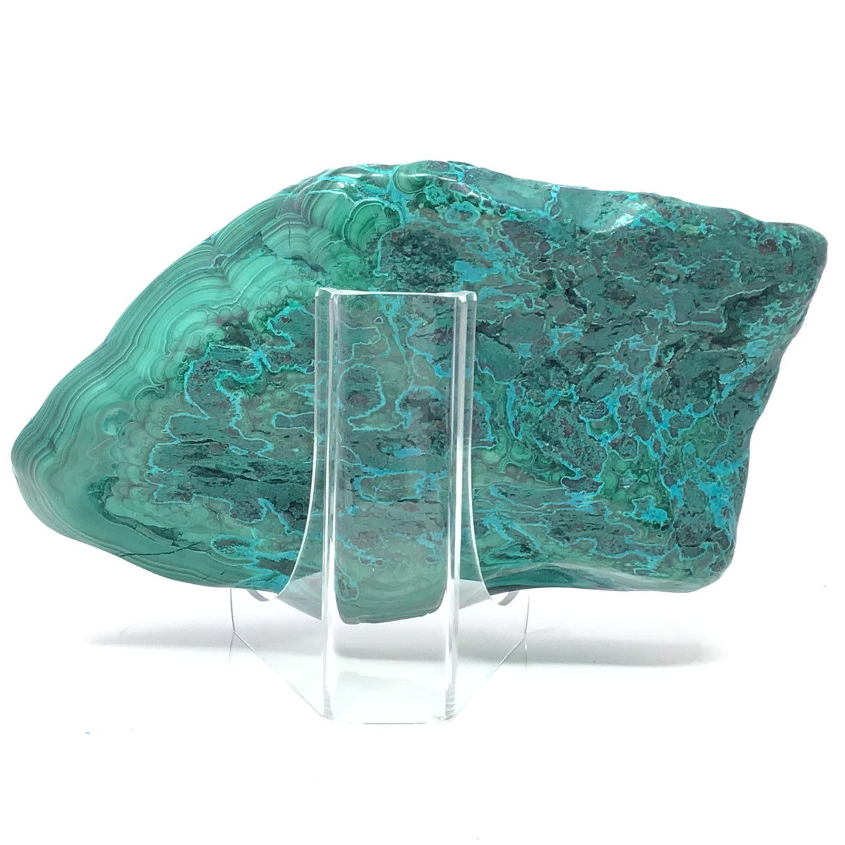 Chrysocolla Malachite Freeform Polished on Lucite Stand with Large & Small Botryoidal Formations