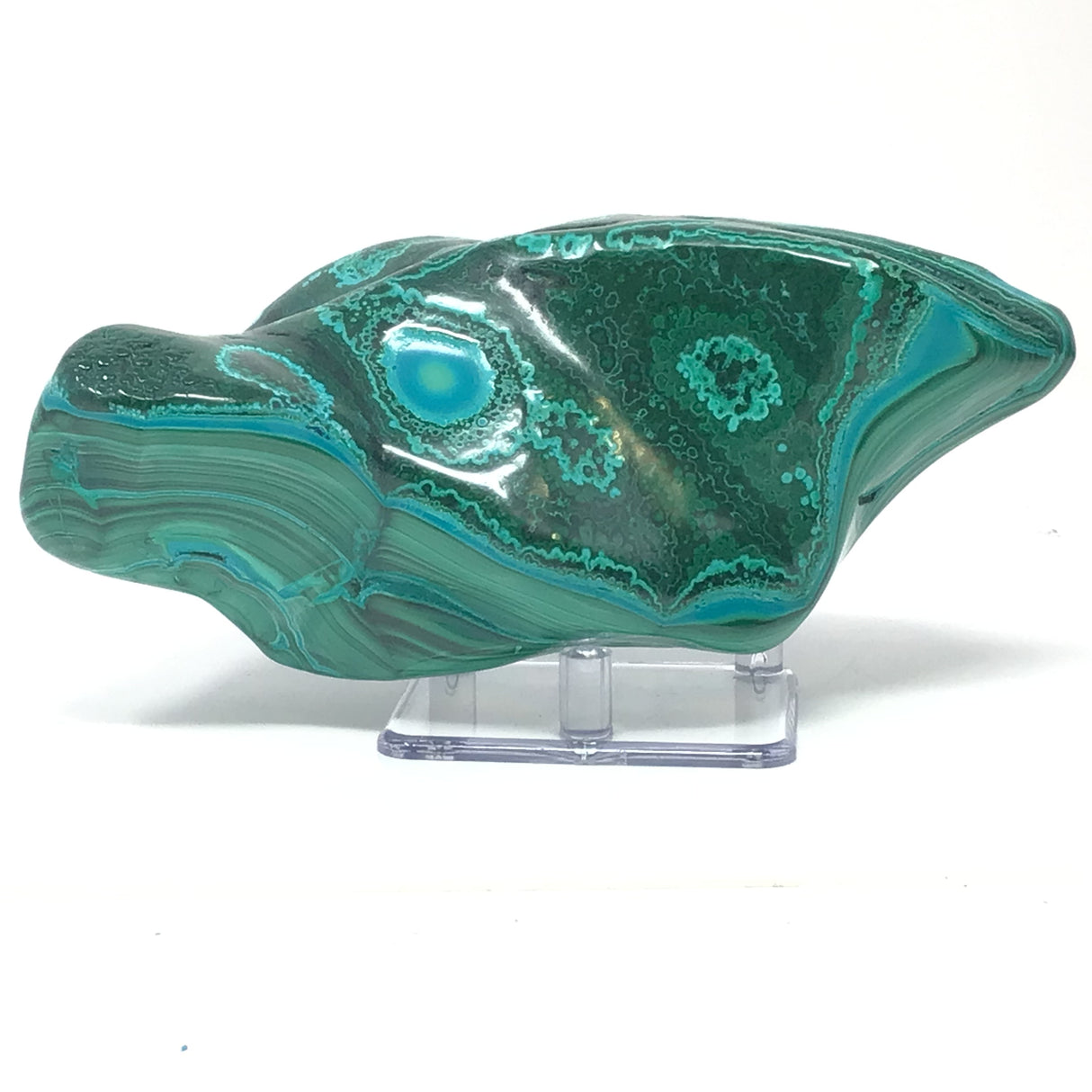 Chrysocolla Malachite Freeform Polished on Lucite Stand with Distinct Chrysocolla Eye