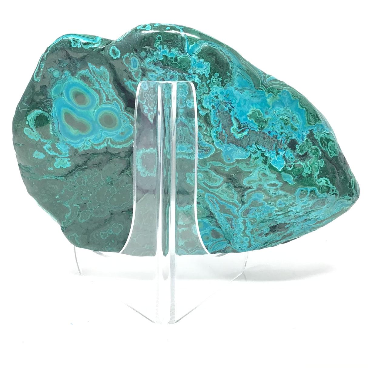 Chrysocolla Malachite Freeform Polished on Lucite Stand with Intense & Dense Eyes