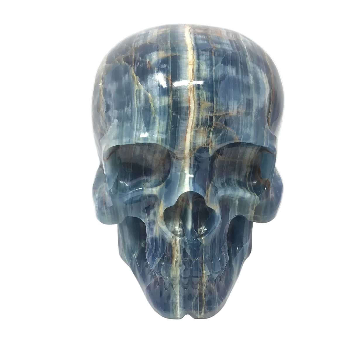 Crâne sculpté en Calcite bleue avec des bleus riches à gauche et du blanc crème à droite - Très grande taille
