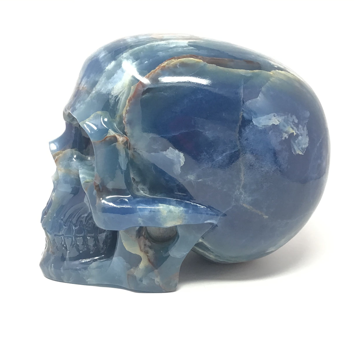 Crâne sculpté en Calcite bleue avec des bleus riches à gauche et du blanc crème à droite - Très grande taille