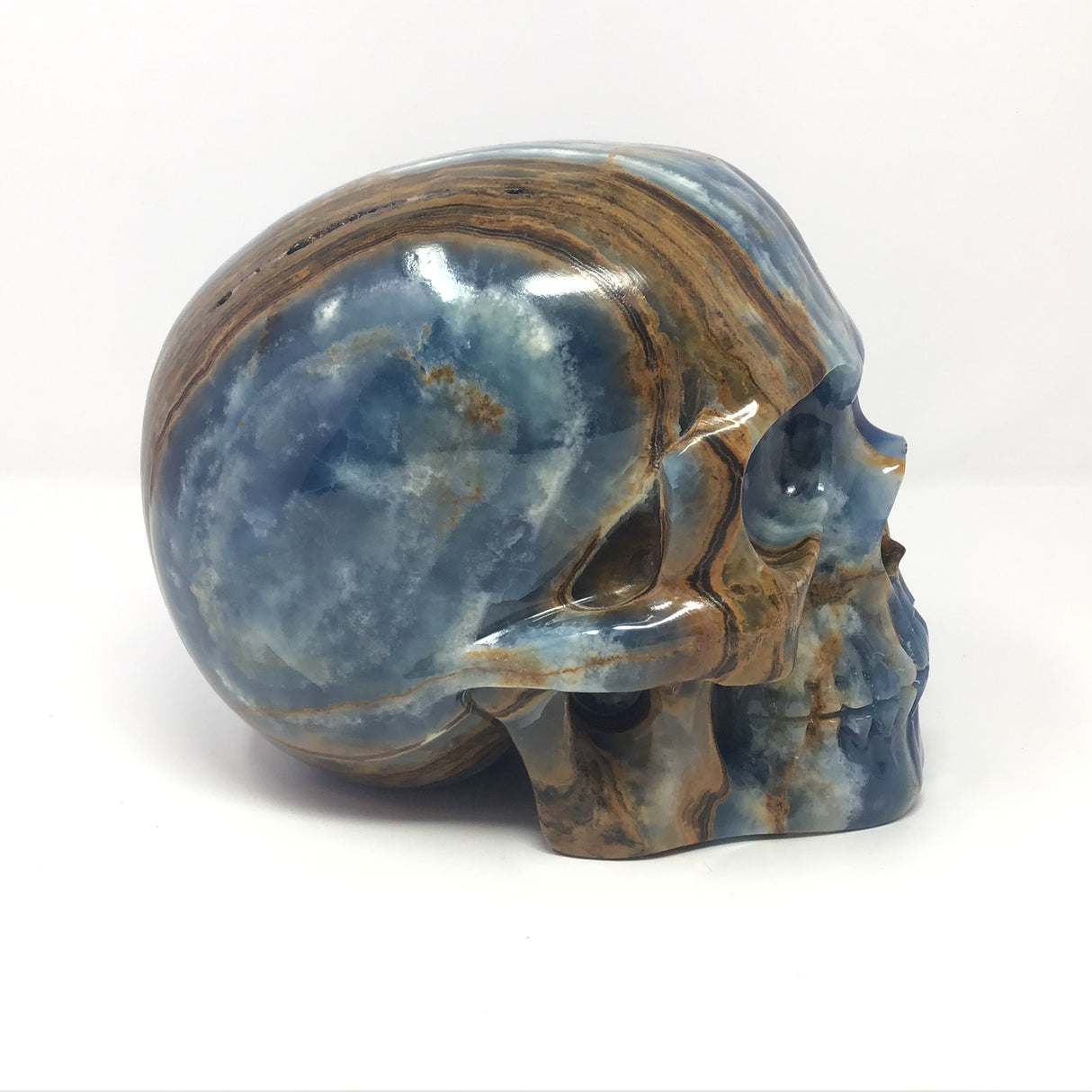 Blue Calcite Skull Carving with Woody Grains on Right Side