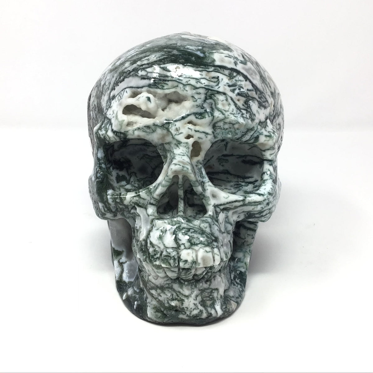 Vein Moss Agate Skull Carving with Quartz Druze Tubular Pockets - 6.5"