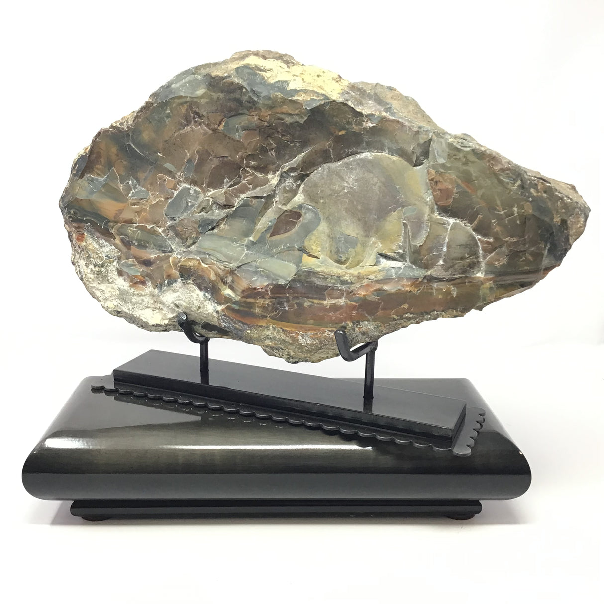 Scenic Blue Mountain Jasper End Cut (Oregon) on Custom Designer Spinning Stand