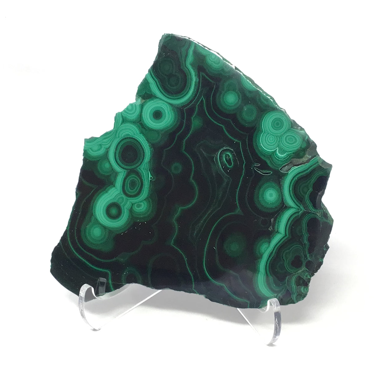 Malachite Slice with Striking Botryoidal Patterns on Lucite Stand