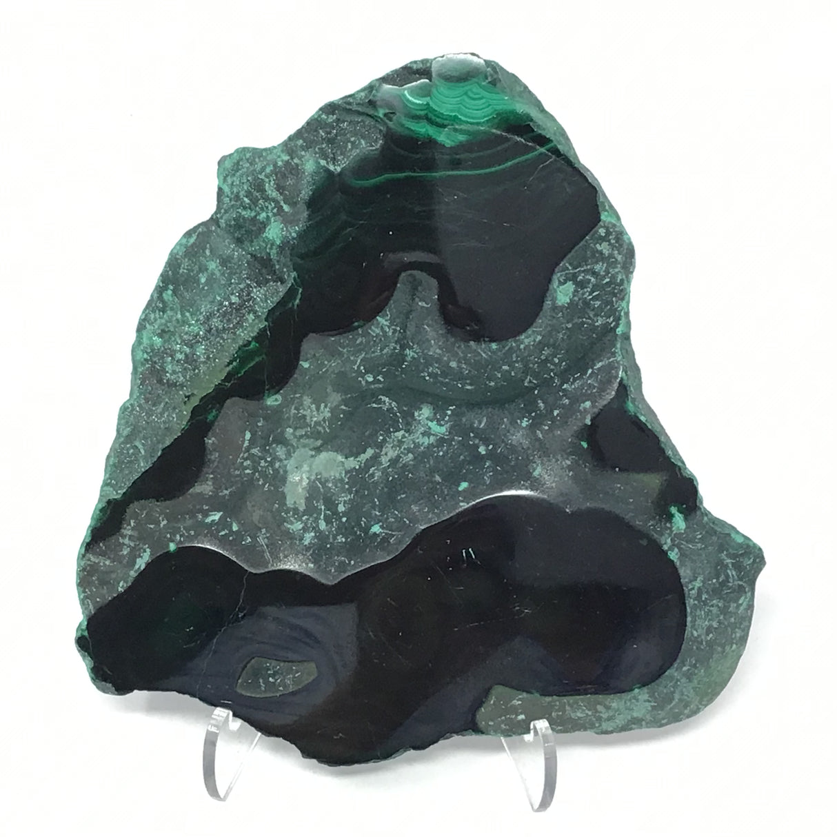 Malachite Slice with Striking Botryoidal Patterns on Lucite Stand